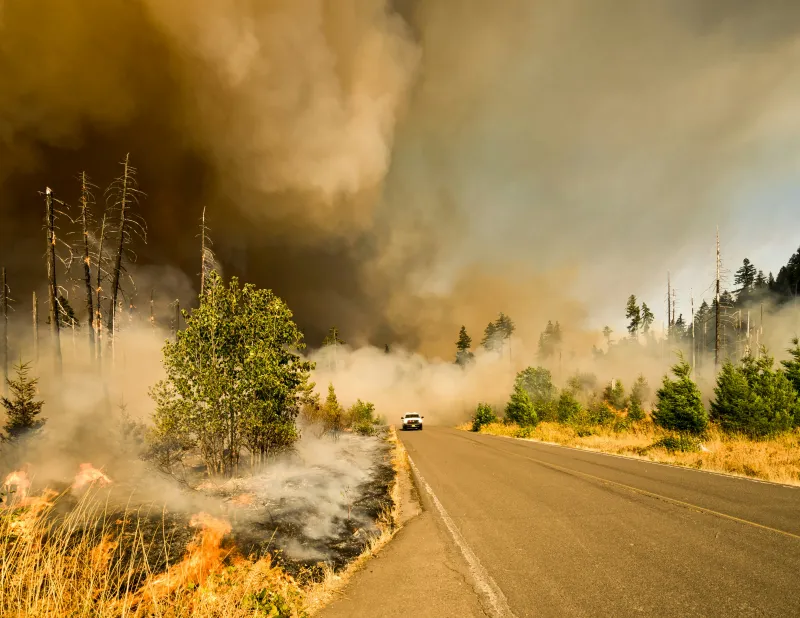 Growing & Not Contained, Moonshine Fire Update