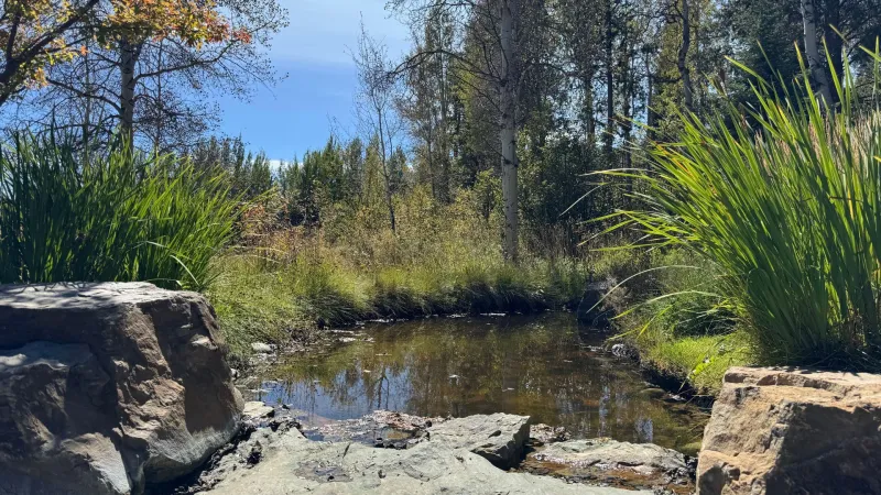 County reaffirms 90-day freeze on man-made pond permits