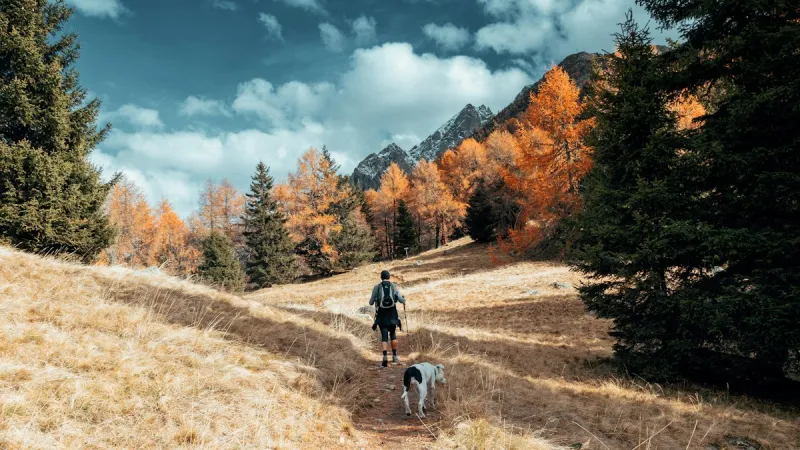 Fall Hikers In Wyoming Need To Know Basic Trail Etiquette For Everyone's Sake