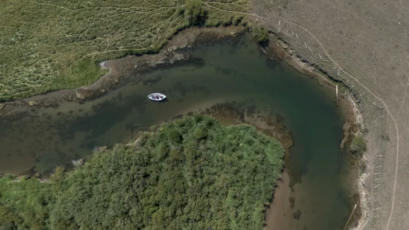 Fish-killing disease strikes E. coli-plagued Snake River tributary that's been running low and warm