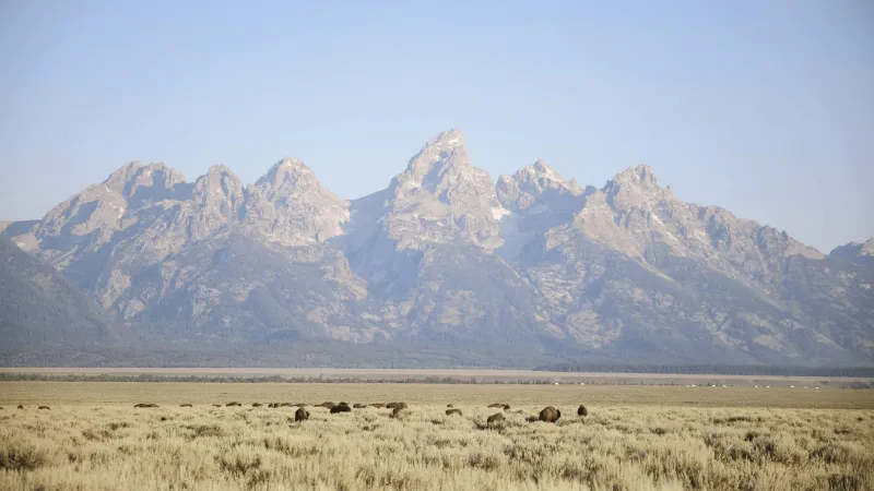 National park fee-free day coming up Thurs. for Constitution Day
