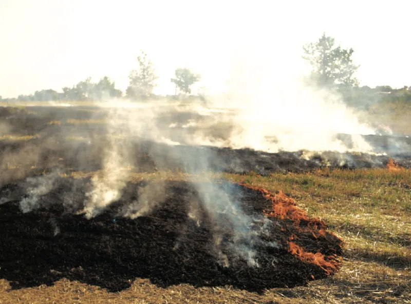 Fire ban lifted in Lincoln County