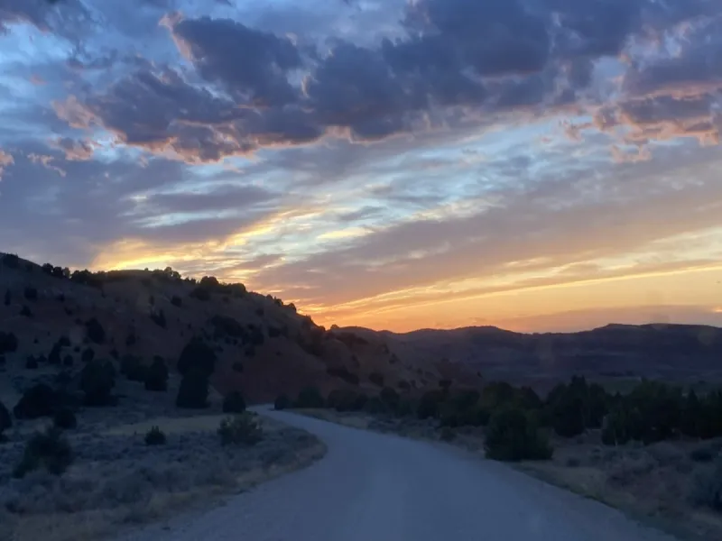 Wordless Wednesday: The Road Home