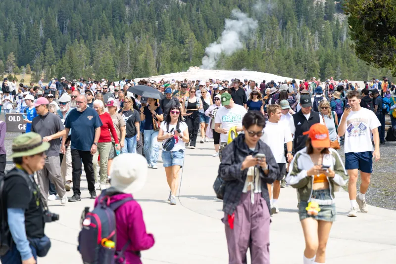 Yellowstone reports slightly slower August