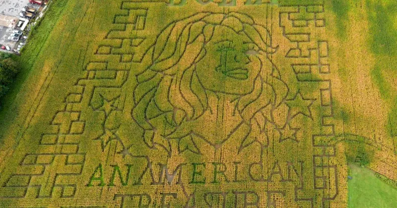 Aw shucks: Dolly Parton corn mazes crop up in fields nationwide