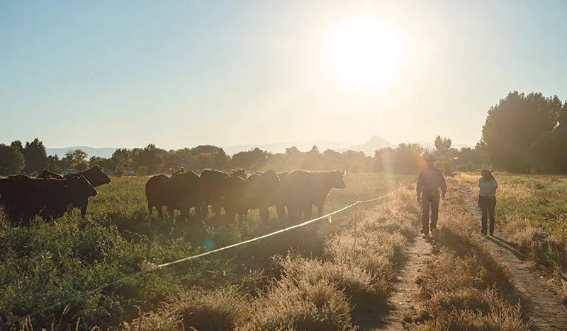 First generation farmers deal with drought, high costs