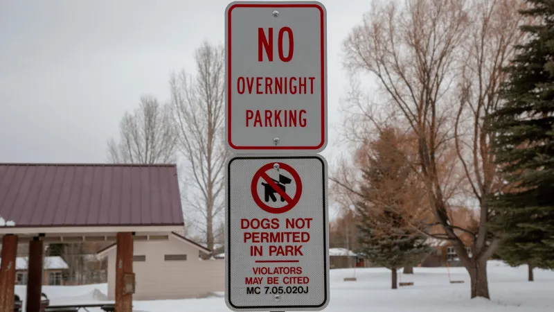 Have opinions on dogs in town parks? Town wants to hear them