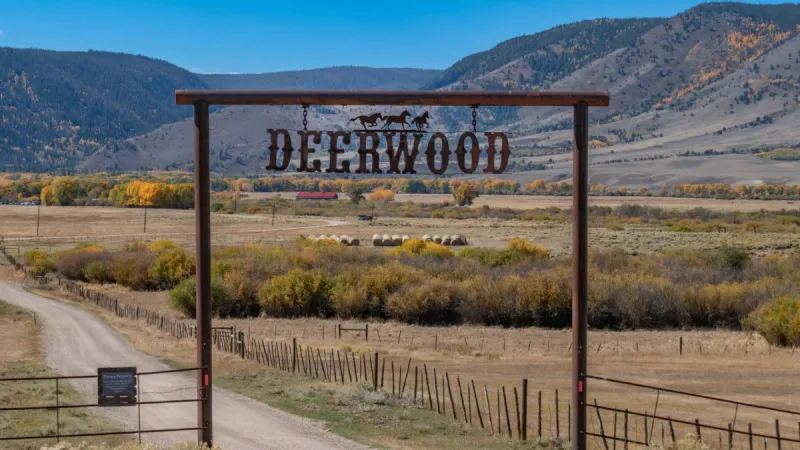 Deerwood Ranch Wild Horses to host Free Fall Open Day Sept. 26