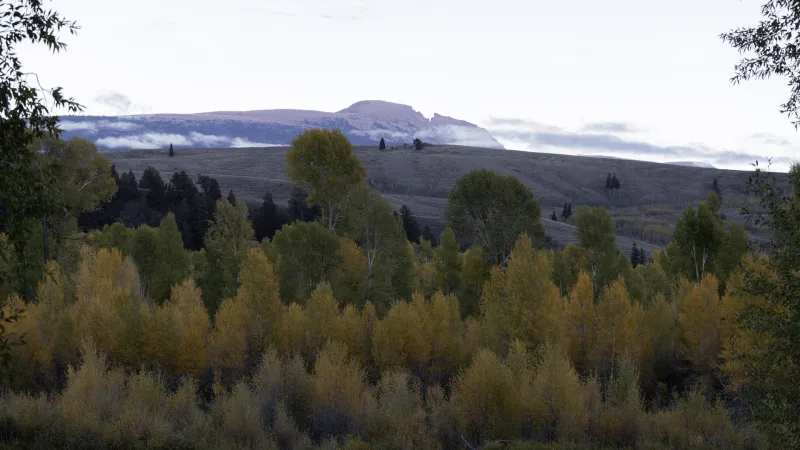 Welcome, fall! Send in those foliage pics