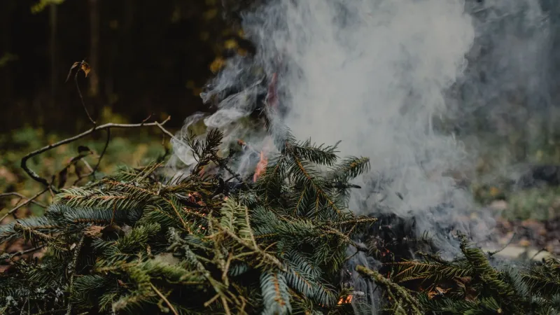 Bridger-Teton announces prescribed fires near Fall Creek, Upper Gros Ventre