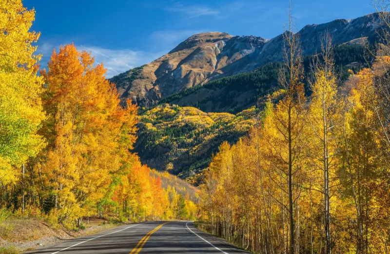 How To Road Trip Wyoming's Fall Colors