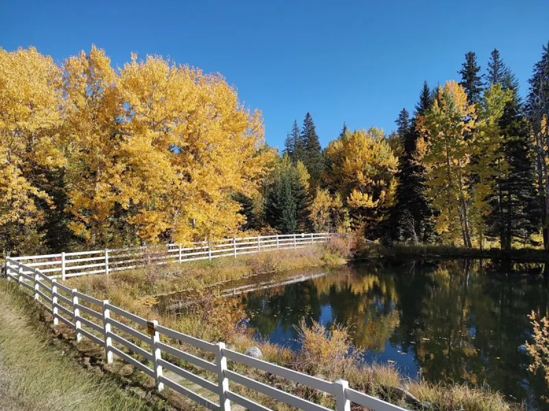 How To Road Trip Wyoming's Fall Colors