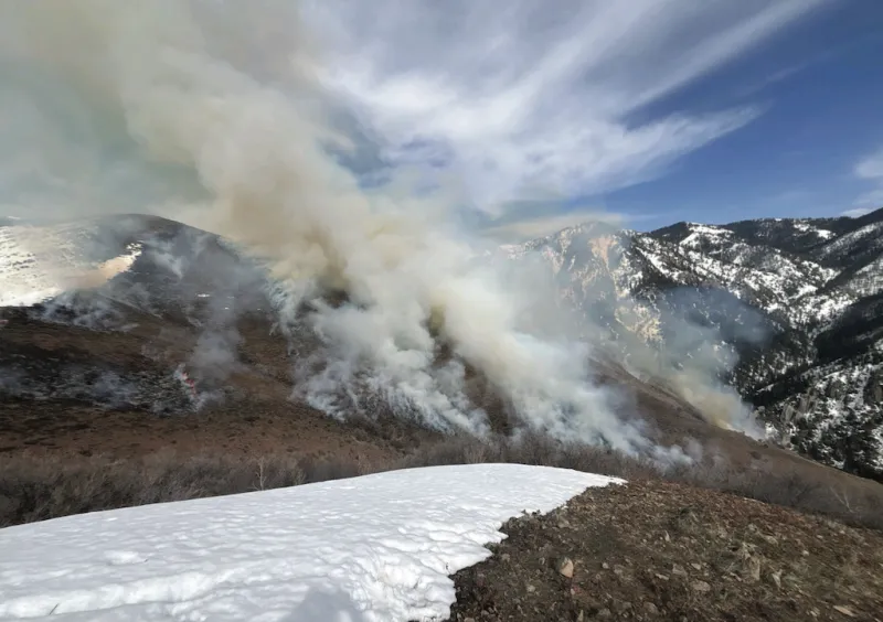 Bridger-Teton National Forest West Zone Plans Prescribed Burning