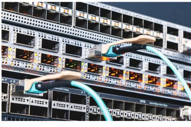 Data Center Protest Leader Decries What She Says Are Lies, Backroom Deals