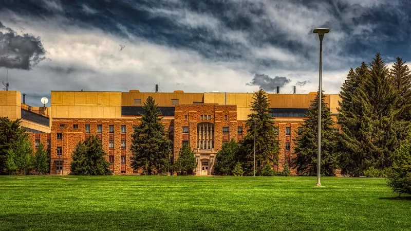 UW's first-time student enrollment grows 4.7%, transfers up 6%