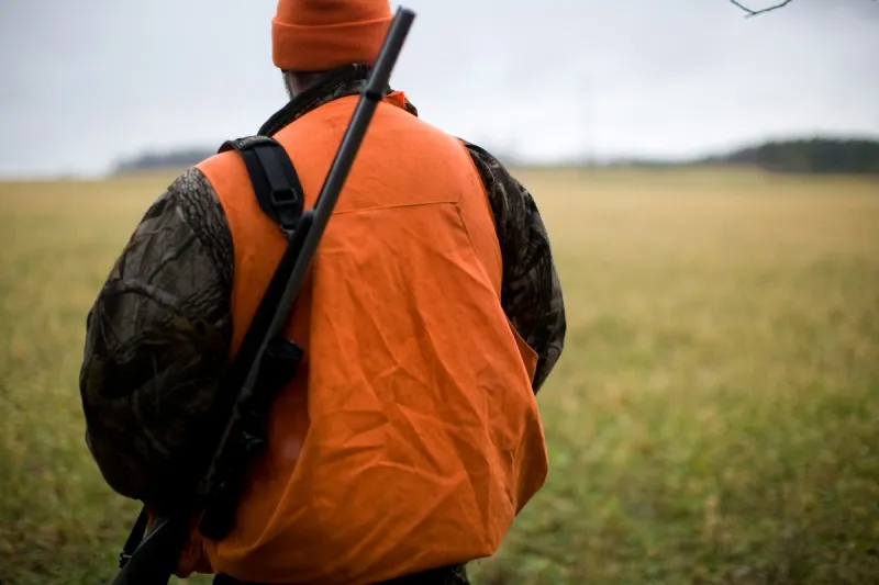 Wyoming Coach Accused of Claiming Montana Residency for Hunting Tags