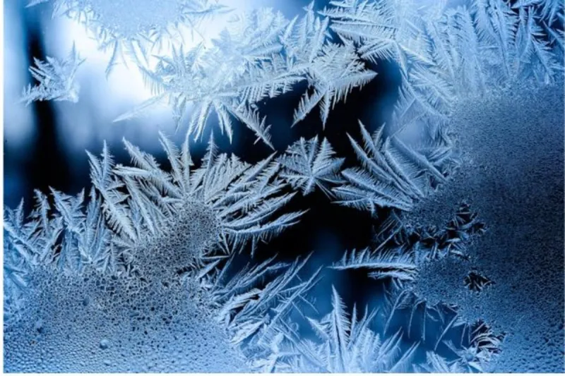 Today Is The Typical First Freeze Date In Cheyenne, But Not This Year