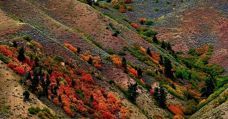 Fielding good and bad fall disturbances