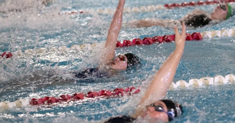 Broncs swimming team hits stride out east