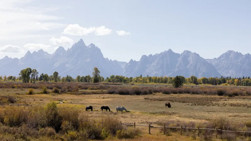 MLB responds to local letter: Grand Teton no longer potential game site