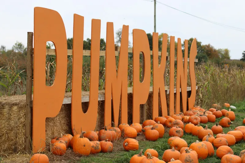 Things To Do First Weekend Of October In Wyoming 2026