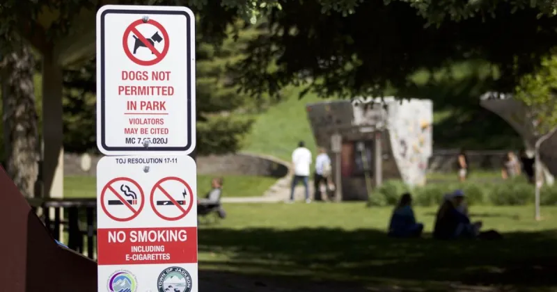 To bark or not to bark? That is the question, as town releases dogs in parks survey