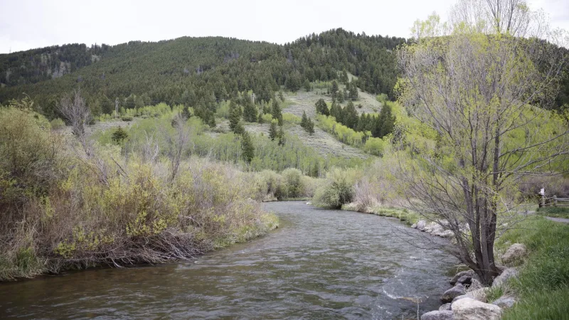 Teton Conservation District candidate David Adams talks mill levy, continuity