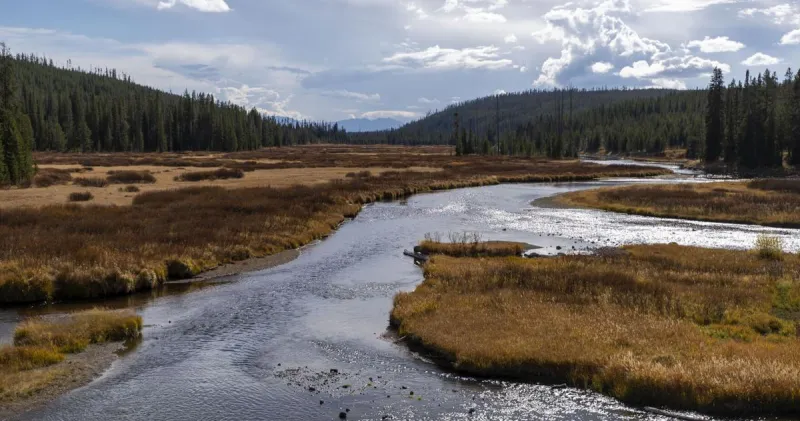 Man pleads guilty to illegal fishing in Yellowstone after attempt to dismiss falls flat
