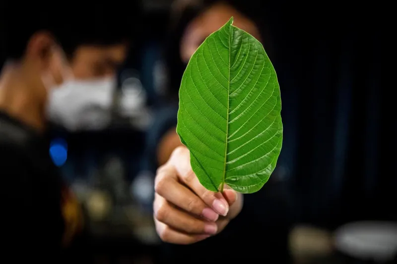 Laramie County Sheriff's Office Announces Kratom Discussion