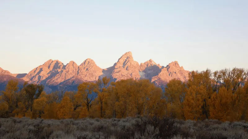 Explainer: What's Prop 1, and how does it affect Wyoming and Teton County?
