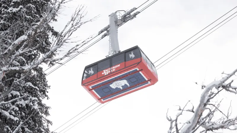 Jackson Hole Mountain Resort season pass sale extended through this Friday!