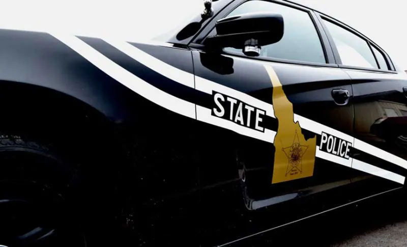 Motorcycle rider seriously injured after hitting bear