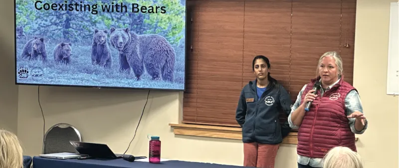 Star Valley Ranch looks for bear solutions