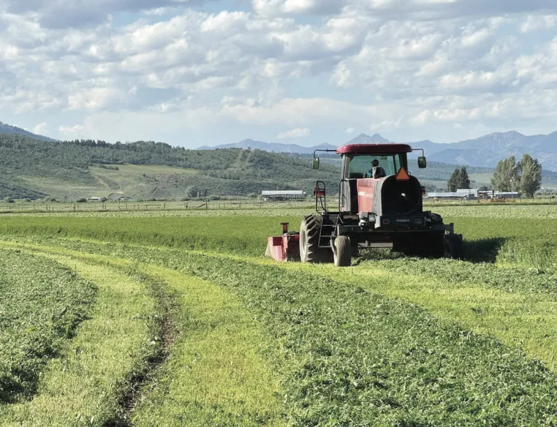 Near record high cost of diesel hits farmers at harvest; new orders offer partial relief