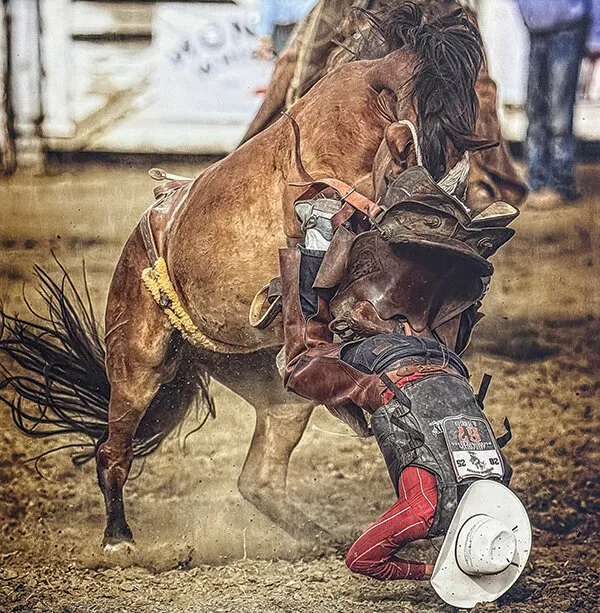 Plaza Diane show features rodeo scenes