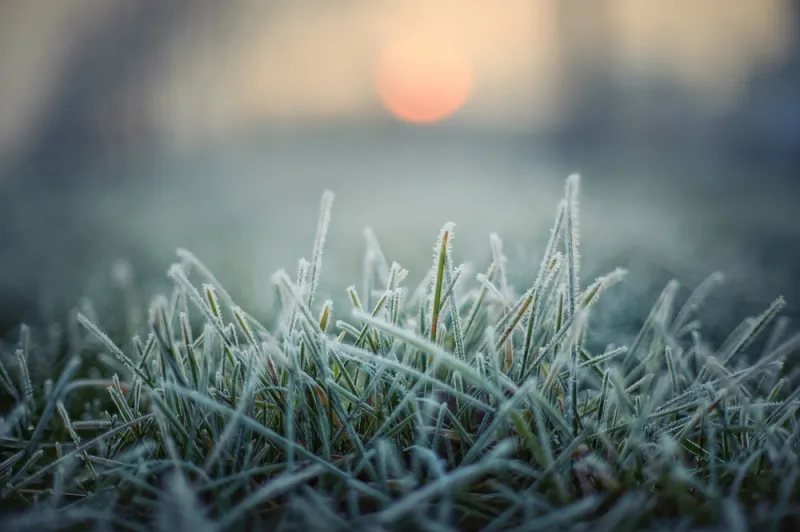 Freeze Warning issued for Gillette, northeast Wyoming as temps drop into low 20s