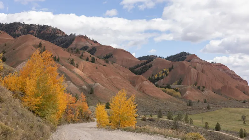Judge halts sweeping plan to move Forest Service headquarters west, including state office in Cheyenne