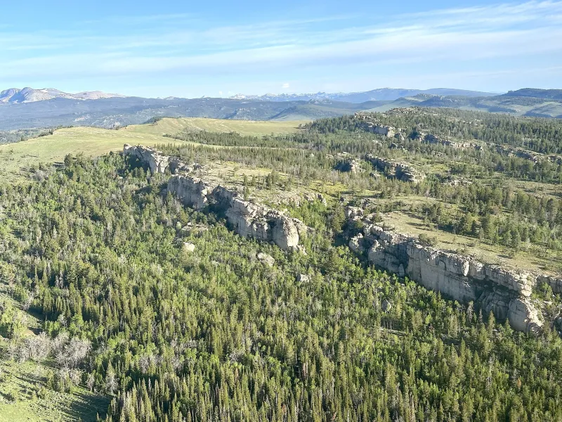 Wyoming wildlife managers want to nix the Roadless Rule. Hunters and anglers want to keep it.