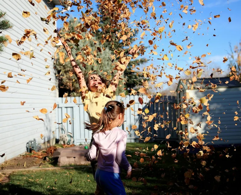 Seasonal Yard Tasks Send Wyomingites To Emergency Rooms Each Year