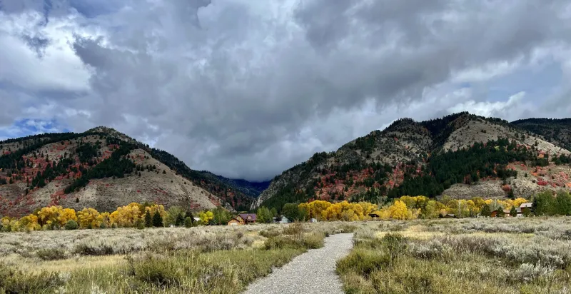 SNAPPED: Readers share photos of glowing aspen, cottonwood trees