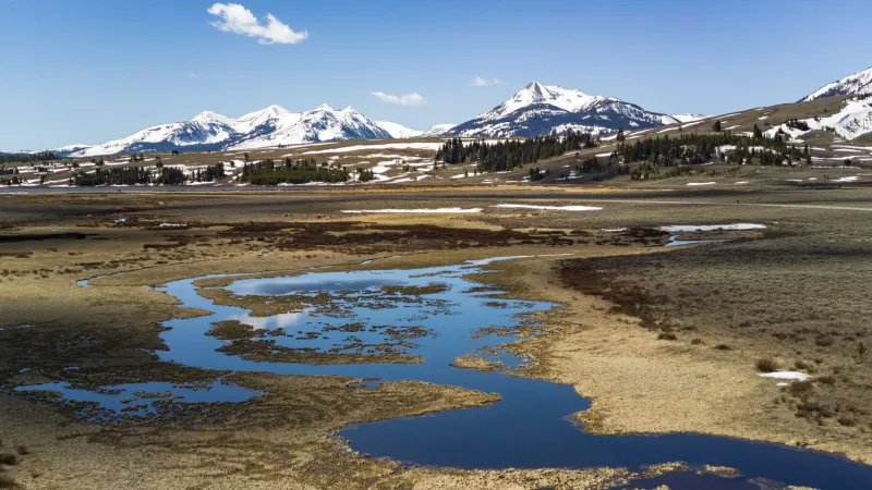 UW student finds rare ice crawler bug in alpine glaciers of Yellowstone