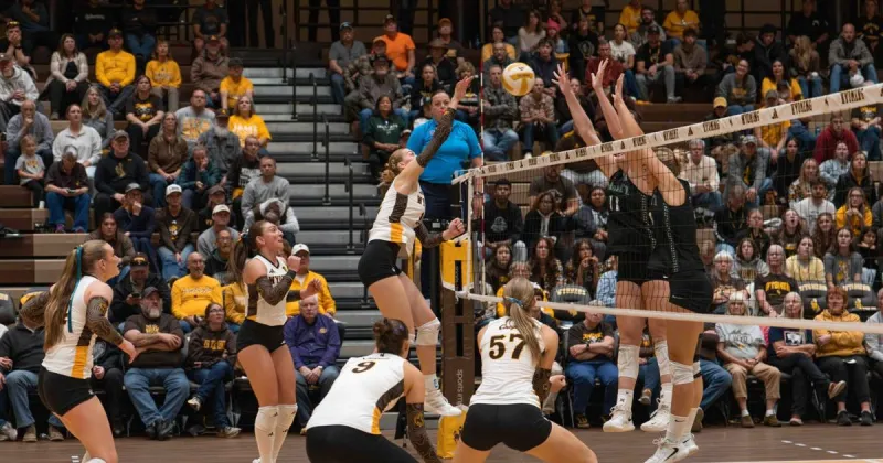 Olympic sports notebook: Cowgirls fight but can't hold off Hawaii