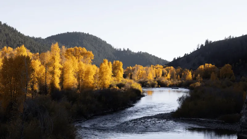 Local candidate forum on conservation topics set for Weds.
