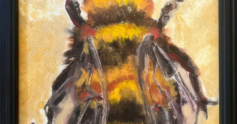 Auerbach birds bugs PSB